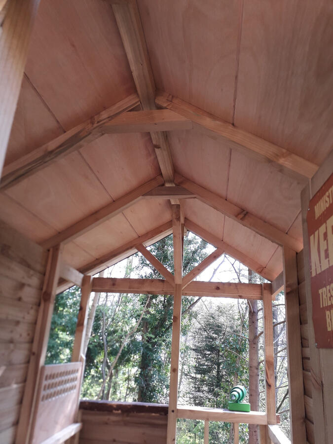 Inside the tree house